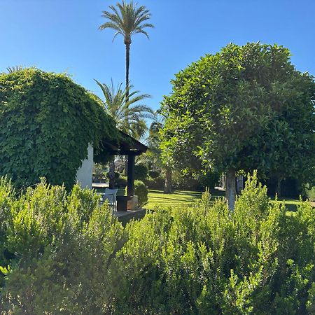 Casa Joan Villa Elche Kültér fotó