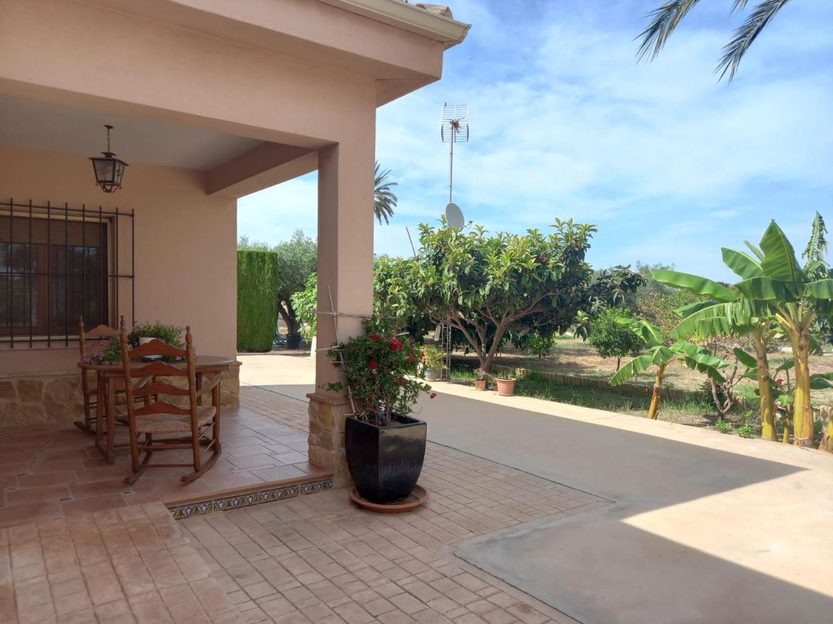 Casa Joan Villa Elche Kültér fotó
