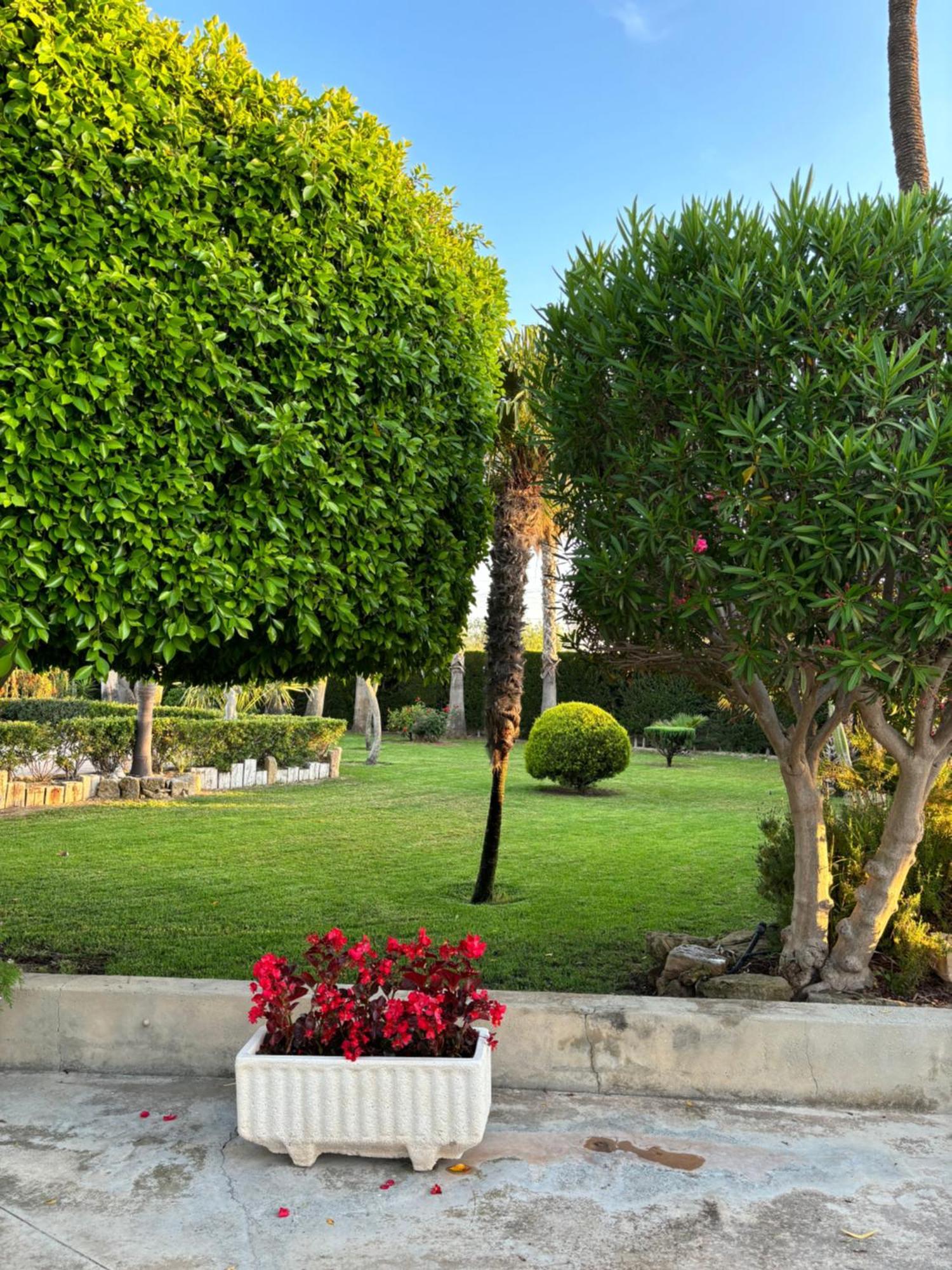 Casa Joan Villa Elche Kültér fotó