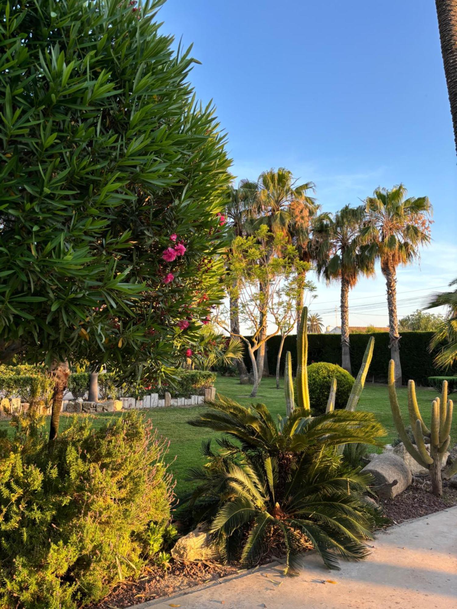 Casa Joan Villa Elche Kültér fotó