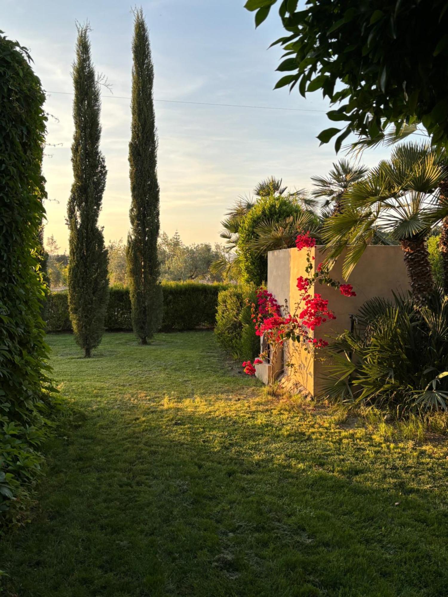 Casa Joan Villa Elche Kültér fotó