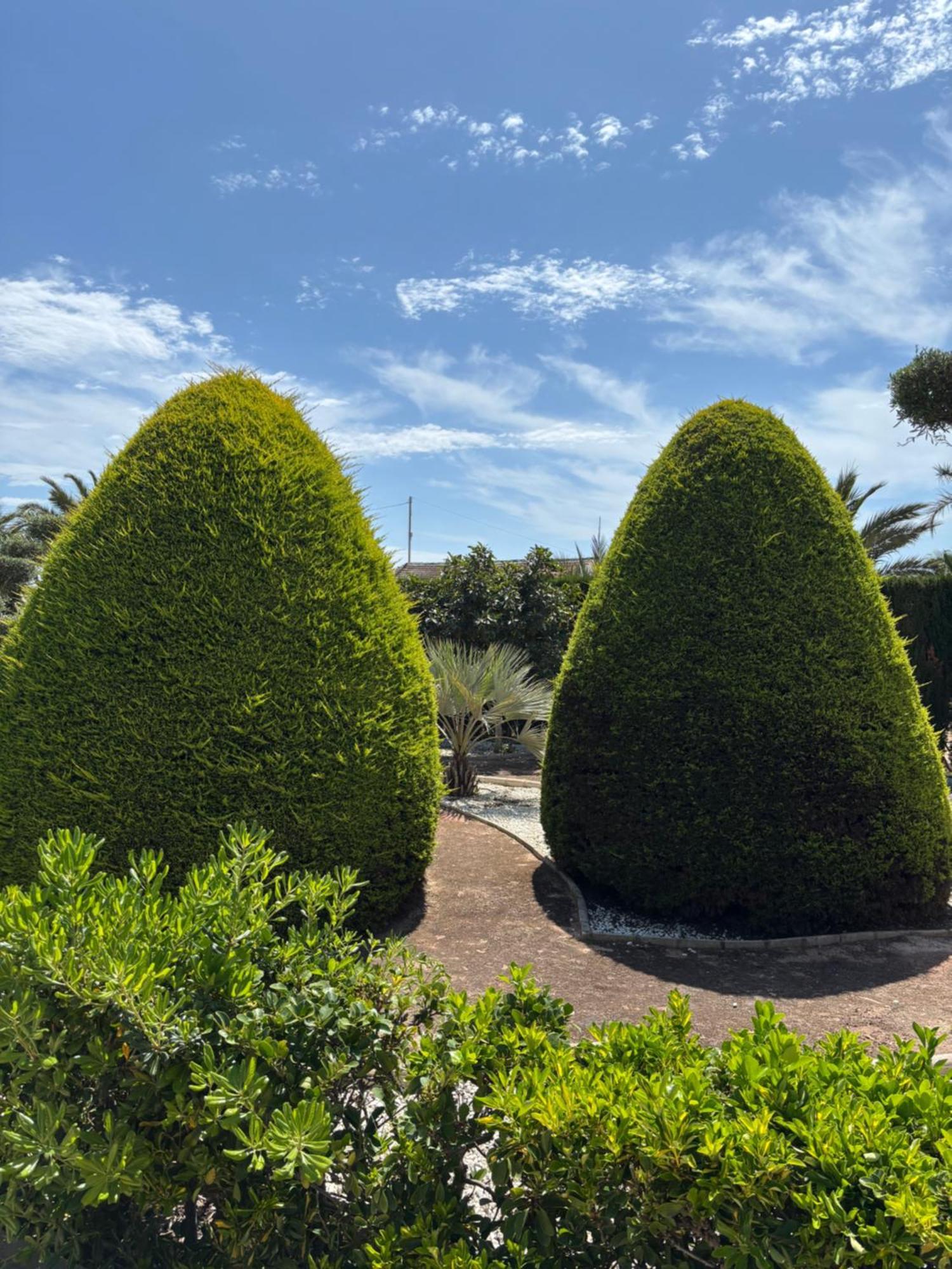 Casa Joan Villa Elche Kültér fotó