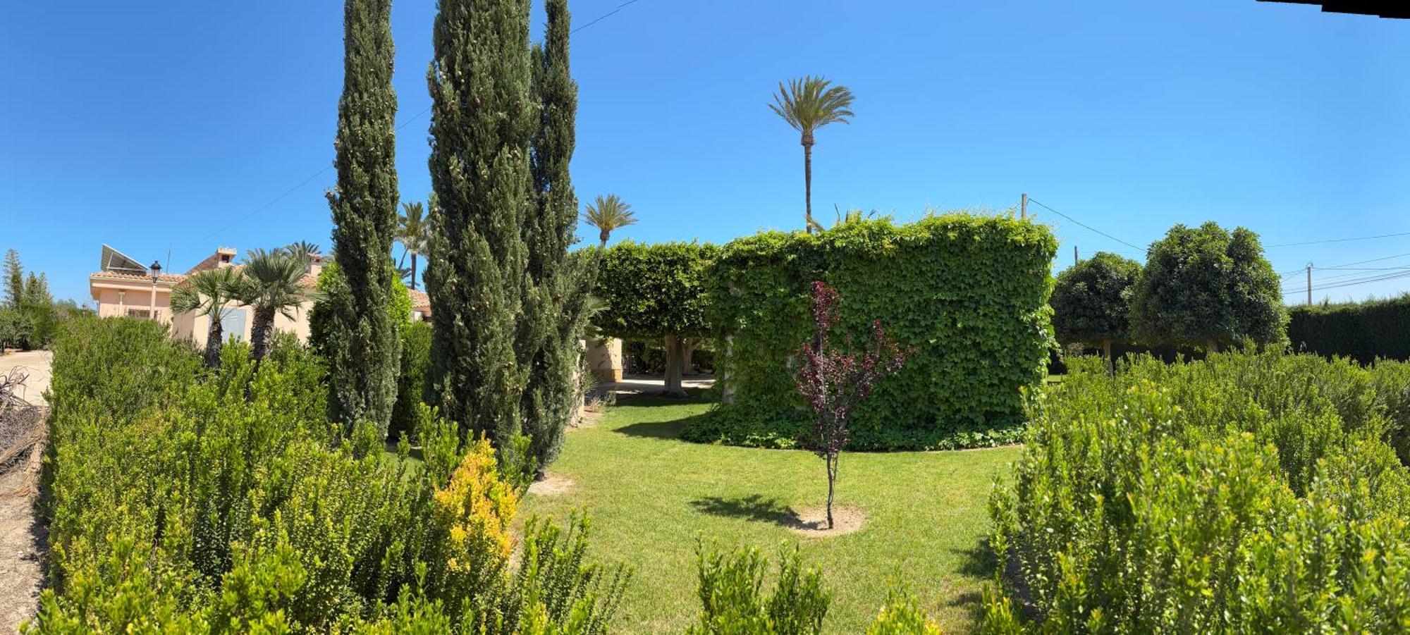 Casa Joan Villa Elche Kültér fotó